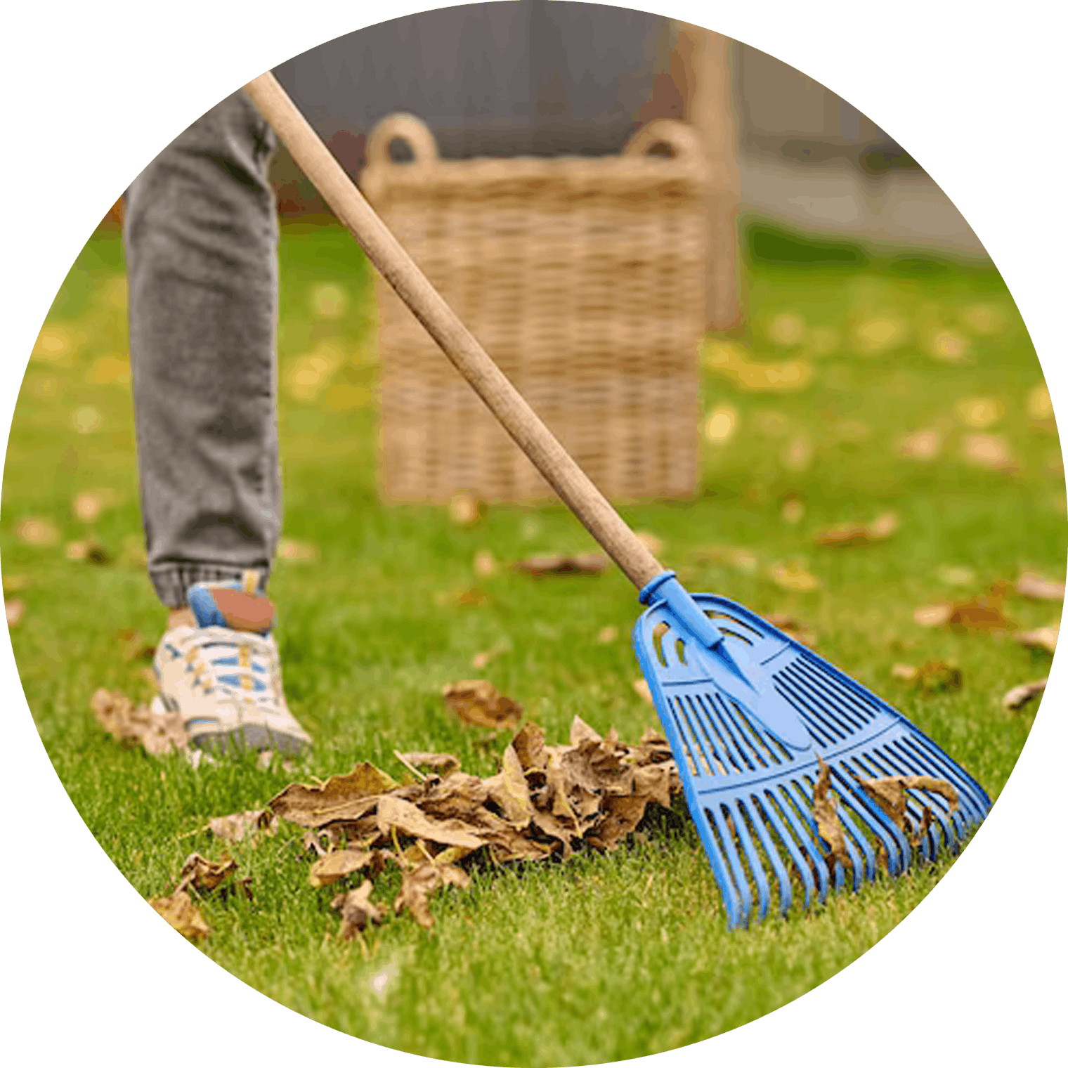 Landscape-Turf Landscape cleaning