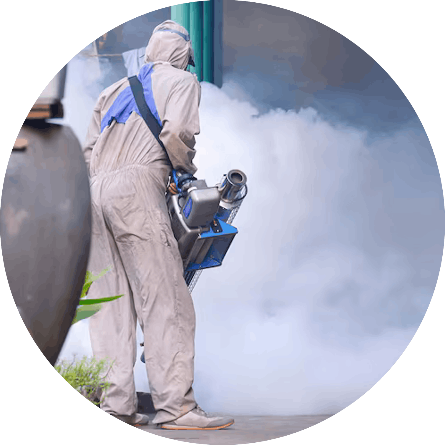 disinfection Professional disinfection and fogging service